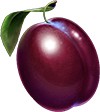 Home symbol plum