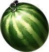 Home symbol watermelon